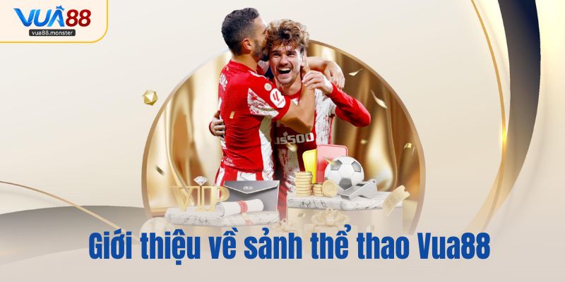 Giới thiệu về sảnh thể thao Vua88